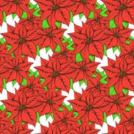 Sketch poinsettia