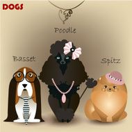 set with purebred dogs