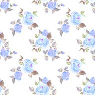 Background with beautiful roses Vector