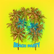 palm beach N4