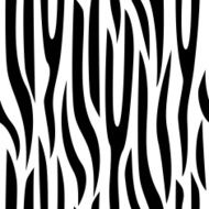 Zebra seamless pattern