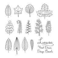 Vector set of leaves in cartoon style