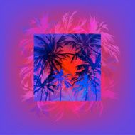 palm beach N6