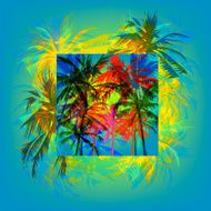 palm beach N7