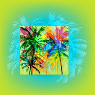 palm beach N8