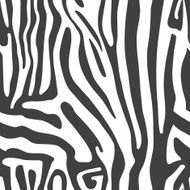 Seamless vector background with Zebra skin
