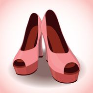 Pair of women&#039;s shoes