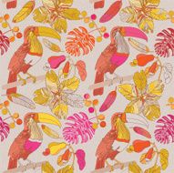 Tropical flowers toucan cashew fruits