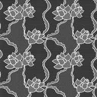 Lace vector fabric seamless pattern N9