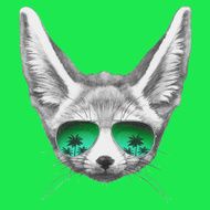 Portrait of Fennec Fox with mirror sunglasses