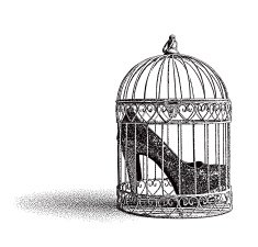 High Heel Shoes in Birdcage