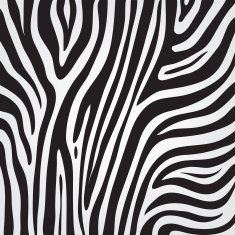 vector zebra texture