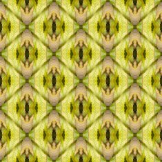 Seamlessly repeating patterns