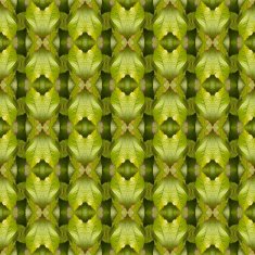 Seamlessly repeating patterns N2
