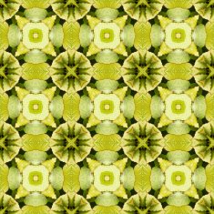 Seamlessly repeating patterns N4