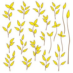 plants illustration N10