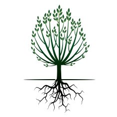 Green Tree and Roots Vector Illustration