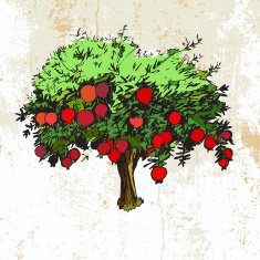 Hand drawn pomegranate tree on grunge background