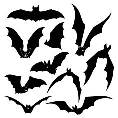 Black bats vector silhouettes set