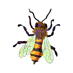 Bee N10