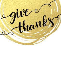 Thank you hand lettering on splash golden textured background