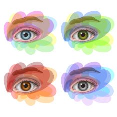 Eyes with different colors seasonal design