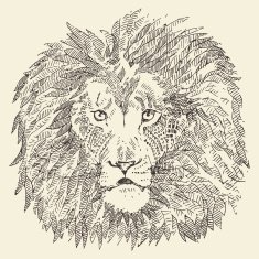Lion head ethnic style illustration drawn sketch