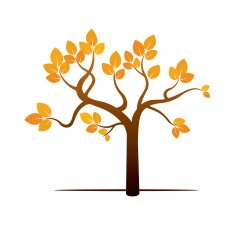 Color Autumn Tree