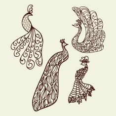 Decorative ornamental peacock