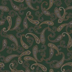 Paisley pattern N21