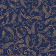 Paisley illustration patter