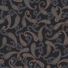 Paisley illustration pattern N10