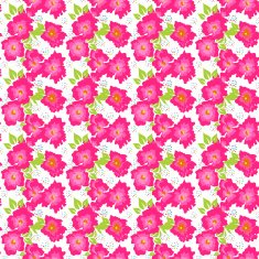 Seamless pattern with poppies on a white background N5