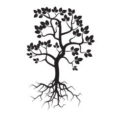 Black Tree and Roots