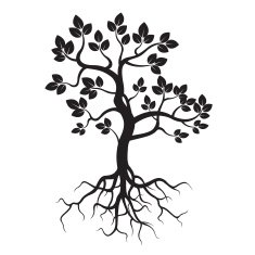 Black Tree and Roots N2