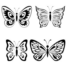 Set Butterflies Black Pictograms