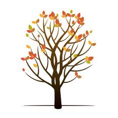 Autumn Tree Vector Illustration