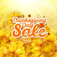 Thanksgiving Day sale EPS 10 N5