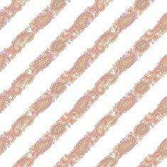 Paisley illustration pattern N16