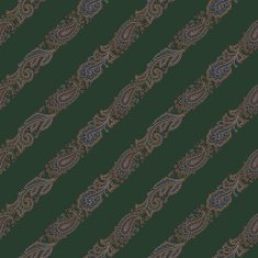 Paisley illustration pattern N19
