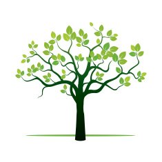 Spring Tree and Green Leafs Color Illustration
