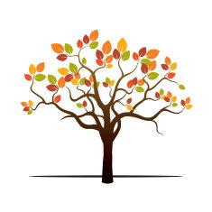 Autumn Tree and Color Leafs