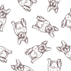 Pattern Bulldog french N2