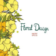 Floral Border N5