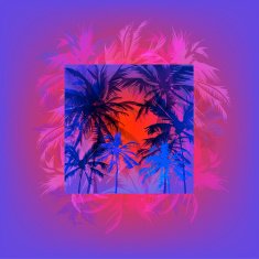 palm beach N6