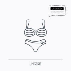 Lingerie icon Women underwear sign N5