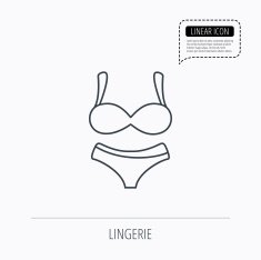 Lingerie icon Women underwear sign N6