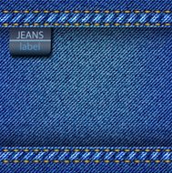 Jeans background Vector