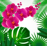 Floral design background Orchid flowers