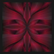 sacrf pattern N4